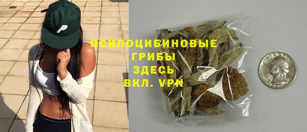 молекула духа Алзамай