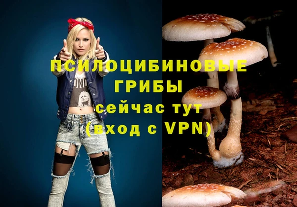 ешки Киреевск
