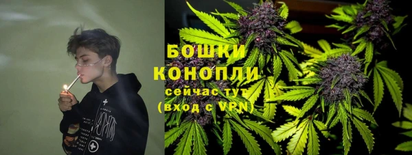 молекула духа Алзамай